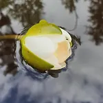 Miiluranta Alpesi faház