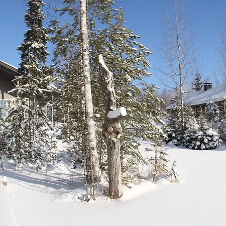 Miiluranta Шале Haapamaki (Central Finland)