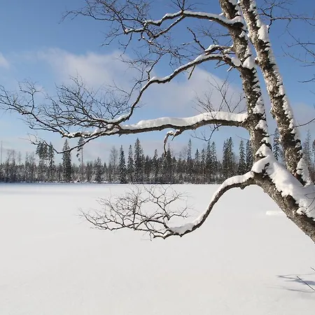 Miiluranta Chalet Haapamaki (Central Finland)
