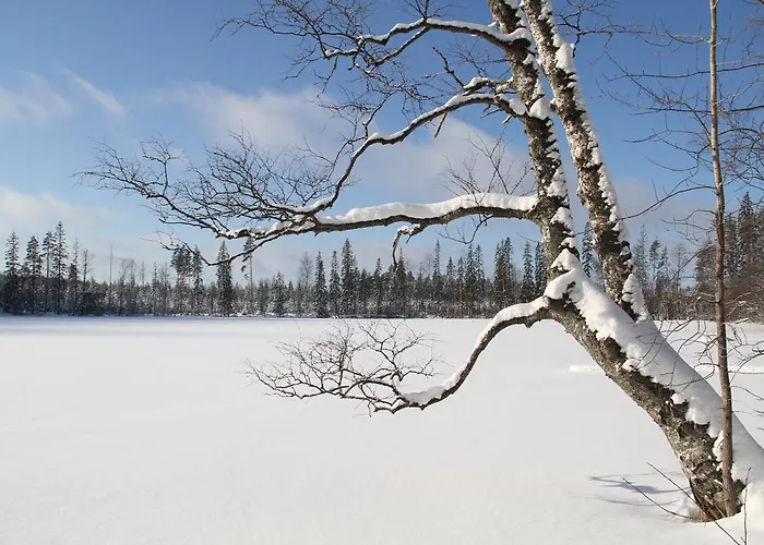 Miiluranta Horská chata Haapamäki